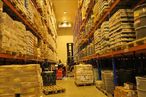 13.000 tấn thực phẩm nhập khẩu phục vụ Tết Nguyên đán Kỷ Hợi được bảo quản tại kho lạnh Công ty TNHH Transimex (quận 9). Ảnh: Đinh Hằng - TTXVN 13.000 tấn thực phẩm nhập khẩu phục vụ Tết Nguyên đán Kỷ Hợi được bảo quản tại kho lạnh Công ty TNHH Transimex (quận 9). Ảnh: Đinh Hằng - TTXVN