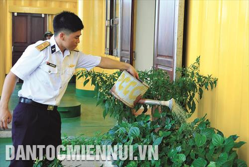Thiếu úy Phạm Văn Đinh chăm sóc vườn rau xanh trên Nhà giàn DK1-7 Huyền Trân Thiếu úy Phạm Văn Đinh chăm sóc vườn rau xanh trên Nhà giàn DK1-7 Huyền Trân