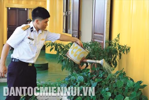 Thiếu úy Phạm Văn Đinh chăm sóc vườn rau xanh trên Nhà giàn DK1-7 Huyền Trân