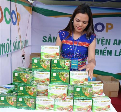 Chị Hồ Thị Viên với sản phẩm cà gai leo do Hợp tác xã Dịch vụ nông nghiệp Tú An 1 sản xuất tại Hội chợ nông sản Gia Lai năm 2019. Ảnh: Hồng Điệp - TTXVN Chị Hồ Thị Viên với sản phẩm cà gai leo do Hợp tác xã Dịch vụ nông nghiệp Tú An 1 sản xuất tại Hội chợ nông sản Gia Lai năm 2019. Ảnh: Hồng Điệp - TTXVN