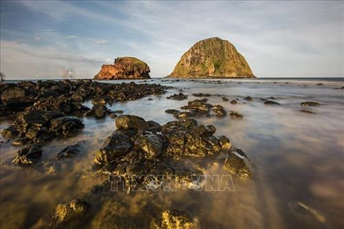 Vẻ tuyệt đẹp của hệ sinh thái san hô tự nhiên tại Hòn Yến, Phú Yên. Ảnh: Trọng Đạt - TTXVN