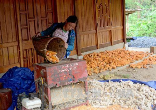 Người dân Pú Nhung tích cực lao động, sản xuất đời sống từng bước nâng lên. Ảnh: Văn Dũng - TTXVN Người dân Pú Nhung tích cực lao động, sản xuất đời sống từng bước nâng lên. Ảnh: Văn Dũng - TTXVN