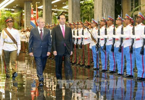 Chủ tịch Cuba Raul Castro đón và hội đàm với Chủ tịch nước Trần Đại Quang ảnh 1