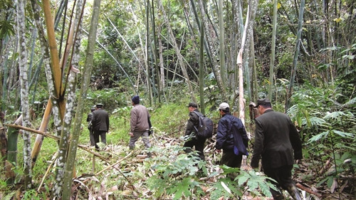 Lực lượng kiểm lâm Vườn Quốc gia Ba Bể và tổ bảo vệ rừng đi tuần rừng