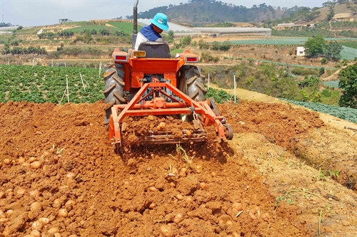 Máy đào khoai tây của nông dân Phạm Minh Thành. Máy đào khoai tây của nông dân Phạm Minh Thành.