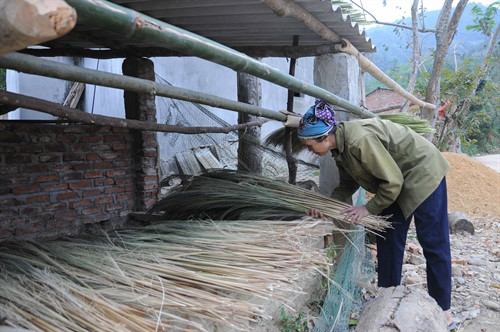 Bà con nông dân phân loại và phơi chít.