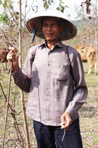 Ông Lê Văn Thân - một trong những người có kinh nghiệm chăn nuôi bò thịt nhiểu năm ở xã Nhơn Tây.