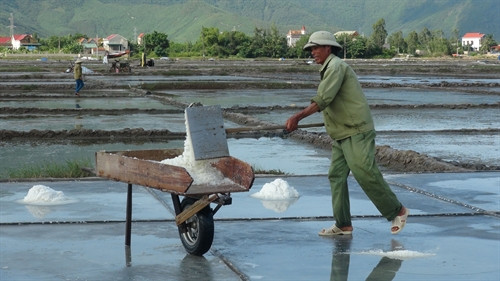 Nông dân xã Quảng Phú, huyện Quảng Trạch (tỉnh Quảng Bình) thu hoạch muối. Ảnh: Đức Thọ- TTXVN Nông dân xã Quảng Phú, huyện Quảng Trạch (tỉnh Quảng Bình) thu hoạch muối. Ảnh: Đức Thọ- TTXVN