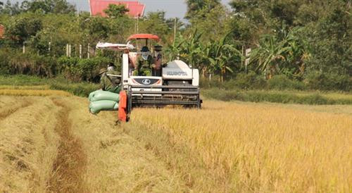 Tỷ lệ cơ giới hóa trong sản xuất nông nghiệp đối với cây trồng chủ lực phải đạt tối thiểu 70% là chỉ tiêu quan trọng trong tiêu chí tổ chức sản xuất. Ảnh: baodaklak.vn Tỷ lệ cơ giới hóa trong sản xuất nông nghiệp đối với cây trồng chủ lực phải đạt tối thiểu 70% là chỉ tiêu quan trọng trong tiêu chí tổ chức sản xuất. Ảnh: baodaklak.vn