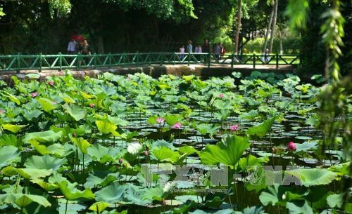 Tháng 5 về thăm quê Bác ảnh 3 Tháng 5 về thăm quê Bác ảnh 3