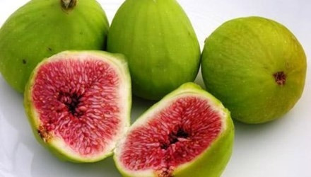 Quả sung kiểm soát bệnh tiểu đường rất tốt