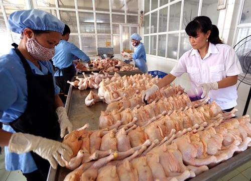 Thực hiện chương trình giám sát chất lượng an toàn thực phẩm nông lâm sản và thủy sản và đề án trái cây của thành phố, 6 tháng qua, Sở Nông nghiệp và Phát triển nông thôn Hà Nội đã tiến hành kiểm tra, giám sát và lấy 312 mẫu nông lâm thủy sản. Ảnh: Vũ Sinh