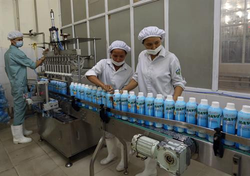 Trong 6 tháng đầu năm 2018, Sở Nông nghiệp và Phát triển nông thôn Hà Nội đã xây dựng được 80 chuỗi liên kết cung ứng nông sản thực phẩm an toàn từ sản xuất đến tiêu thụ sản phẩm. Ảnh: Vũ Sinh