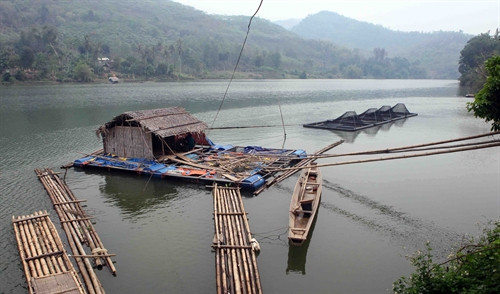 Gia đình ông Vi Quang Phùng, dân tộc Thái, ở bản Nhẵn, xã Thạch Giám, huyện Tương Dương đã đầu tư thêm mô hình lồng công nghệ mới để nuôi cá. Gia đình ông Vi Quang Phùng, dân tộc Thái, ở bản Nhẵn, xã Thạch Giám, huyện Tương Dương đã đầu tư thêm mô hình lồng công nghệ mới để nuôi cá.