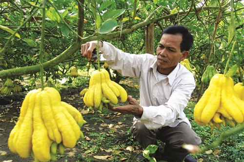 Nhiều mô hình sản xuất đã được áp dụng đem lại thu nhập ổn định cho đồng bào.