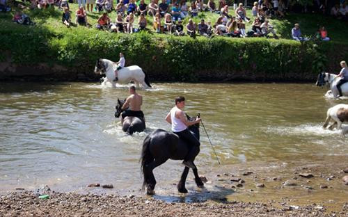 Phóng sự ảnh về tương lai bất trắc của những đứa trẻ Di gan thế kỷ 21 ảnh 17 Phóng sự ảnh về tương lai bất trắc của những đứa trẻ Di gan thế kỷ 21 ảnh 17