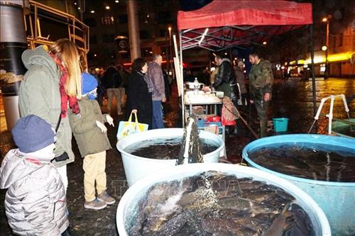 Một điểm bán cá chép dịp Giáng sinh tại trung tâm Praha. Ảnh: Hồng Kỳ - TTXVN Một điểm bán cá chép dịp Giáng sinh tại trung tâm Praha. Ảnh: Hồng Kỳ - TTXVN