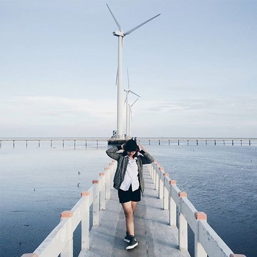 Đến Bạc Liêu ngắm “cánh đồng quạt gió” đẹp như trời Tây ảnh 9