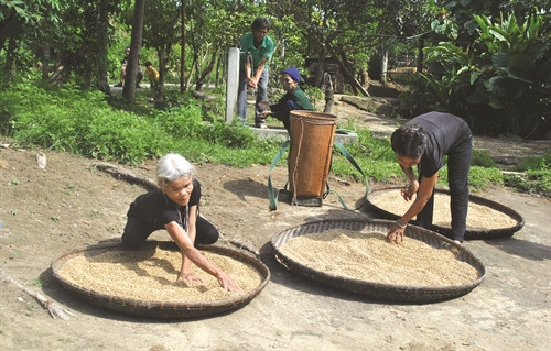 Đời sống của đồng bào Bh'noong ngày càng được nâng lên, tỷ lệ hộ nghèo giảm qua từng năm Đời sống của đồng bào Bh'noong ngày càng được nâng lên, tỷ lệ hộ nghèo giảm qua từng năm