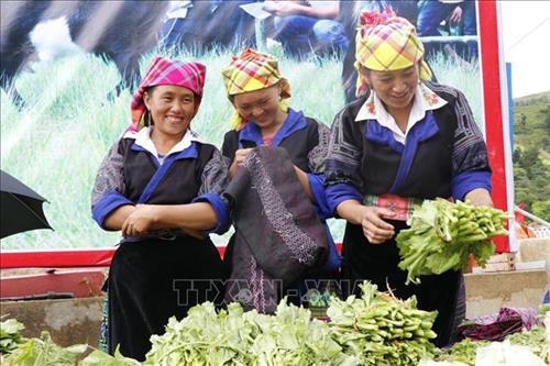 Gian hàng rau sạch của đồng bào Mông tại Mù Cang Chải. Ảnh: Tuấn Anh - TTXVN Gian hàng rau sạch của đồng bào Mông tại Mù Cang Chải. Ảnh: Tuấn Anh - TTXVN