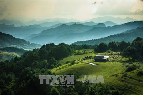 Vườn Quốc gia Phia Oắc - Phia Đén (huyện Nguyên Bình) được ví như một viên ngọc quý mà thiên nhiên ban tặng cho mảnh đất này. Ảnh: Trọng Đạt - TTXVN