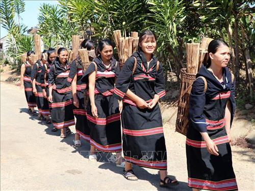 Gùi củi hứa hôn về nhà chồng của người Giẻ Triêng ở xã Đăk Dục, huyện Ngọc Hồi, tỉnh Kon Tum. Ảnh: Cao Nguyên - TTXVN Gùi củi hứa hôn về nhà chồng của người Giẻ Triêng ở xã Đăk Dục, huyện Ngọc Hồi, tỉnh Kon Tum. Ảnh: Cao Nguyên - TTXVN