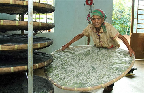 Nuôi tằm không cần tốn quá nhiều công lao động