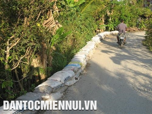 Củng cố hệ thống đê bao ngăn triều cường gây ngập úng và xâm nhập mặn vào vườn cây. Ảnh: Minh Trí Củng cố hệ thống đê bao ngăn triều cường gây ngập úng và xâm nhập mặn vào vườn cây. Ảnh: Minh Trí