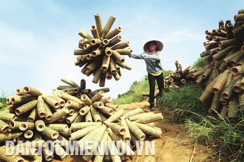 Từ vài chục hộ tự phát ban đầu, đến nay, toàn xã có khoảng 350 hộ làm nghề đan rọ tôm