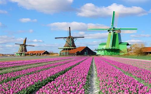 Nằm tại Lisse, một thị trấn nhỏ ở phía nam thủ đô Amsterdam, công viên Keukennhof còn được biết đến là "vườn châu Âu". Đây là vườn hoa lớn nhất thế giới với diện tích khoảng 32 ha và bảy triệu bông hoa tuy-líp thuộc 100 giống khác nhau. Ảnh: nhandan.com.vn Nằm tại Lisse, một thị trấn nhỏ ở phía nam thủ đô Amsterdam, công viên Keukennhof còn được biết đến là "vườn châu Âu". Đây là vườn hoa lớn nhất thế giới với diện tích khoảng 32 ha và bảy triệu bông hoa tuy-líp thuộc 100 giống khác nhau Đối với mỗi người dân Hà Lan, cối xay gió đã tạo nên đất nước của họ. Đây là niềm tự hào không gì sánh nổi và Kinderdijk là một trong những nơi lưu giữ tốt nhất của niềm tự hào ấy. Người ta gọi Kinderdijk là ngôi làng cối xay gió, bởi nơi đây tập hợp các cối xay gió mang nhiều giá trị lịch sử nhất tại Hà Lan. Hệ thống cối xay gió của làng Kinderdijk được UNESCO công nhận là di sản thế giới vào năm 1997.. Ảnh: nhandan.com.vn Cách Amsterdam khoảng 20 km, làng Zaanse Schans là một quần thể văn hóa gồm nhiều cối xay gió cổ và những bảo tàng lưu giữ các nét văn hóa truyền thống của người Hà Lan.. Ảnh: nhandan.com.vn Cung điện Hoàng gia tại Amsterdam vô cùng cổ kính, nguy nga và tráng lệ. Công trình này bảo tồn nhiều di sản quý giá và những tác phẩm điêu khắc bậc thầy của Hà Lan. Ảnh: nhandan.com.vn Làng Giethoorn không hề có một con đường nào, phương tiện chủ yếu để di chuyển là thuyền. Hàng trăm cây cầu bắc qua các tuyến đường thủy, kết nối những ngôi nhà với nhau, các kênh rạch cũng dẫn đến phòng trưng bày nghệ thuật và cửa hàng lưu niệm.. Ảnh: nhandan.com.vn Những ngôi nhà sắc màu trên hồ Reitdiephaven ở TP Groningen từ lâu đã trở thành một trong những điểm đến hút khách nhất tại Hà Lan, đặc biệt là đối tượng giới trẻ. Ảnh: nhandan.com.vn Bộ trang phục của phụ nữ Hà Lan xuất hiện trong chương trình quảng cáo Sữa cô gái Hà Lan gắn liền với tuổi thơ của không ít thế hệ người Việt Nam. Khi nói đến trang phục của người Hà Lan, không thể bỏ qua những đôi giày gỗ xinh xắn. Nguồn gốc của những đôi giày gỗ (hay guốc gỗ) xuất phát từ việc phần lớn đất liền Hà Lan đều nằm ngang hoặc thấp hơn mực nước biển cho nên đất nông nghiệp thường bị ngập úng, vào mùa đông thì nước ứ đọng sẽ bị đóng băng. Do đó, người Hà Lan nảy ra ý tưởng sáng chế những đôi giày gỗ giúp di chuyển dễ dàng, giữ chân khô ráo, đặc biệt là mùa đông thì ấm, mùa hè thì mát, thậm chí vào ngày đông khi trời quá lạnh người dùng có thể lót thêm rơm vào giày cho ấm và êm chân. Đôi giày gỗ cũng giúp những người vắt sữa bò bảo vệ đôi chân của họ không bị bò giẫm lên.... Ảnh: nhandan.com.vn Người hâm mộ Hà Lan mặc trang phục của đội tuyển bóng đá quốc gia "Cơn lốc mầu da cam". Ảnh: nhandan.com.vn Ở Hà Lan có đầy đủ phương tiện giao thông hiện đại nhưng xe đạp vẫn là sự lựa chọn phổ biến nhất. Những chiếc xe đạp xuất hiện trên đường phố Hà Lan tạo nên một không gian thanh bình và thư thả. Đạp xe đi khám phá những ngóc ngách của đất nước này chắc chắn sẽ là trải nghiệm khó quên đối với du khách.. Ảnh: nhandan.com.vn Nằm tại Lisse, một thị trấn nhỏ ở phía nam thủ đô Amsterdam, công viên Keukennhof còn được biết đến là "vườn châu Âu". Đây là vườn hoa lớn nhất thế giới với diện tích khoảng 32 ha và bảy triệu bông hoa tuy-líp thuộc 100 giống khác nhau. Ảnh: nhandan.com.vn Nằm tại Lisse, một thị trấn nhỏ ở phía nam thủ đô Amsterdam, công viên Keukennhof còn được biết đến là "vườn châu Âu". Đây là vườn hoa lớn nhất thế giới với diện tích khoảng 32 ha và bảy triệu bông hoa tuy-líp thuộc 100 giống khác nhau Đối với mỗi người dân Hà Lan, cối xay gió đã tạo nên đất nước của họ. Đây là niềm tự hào không gì sánh nổi và Kinderdijk là một trong những nơi lưu giữ tốt nhất của niềm tự hào ấy. Người ta gọi Kinderdijk là ngôi làng cối xay gió, bởi nơi đây tập hợp các cối xay gió mang nhiều giá trị lịch sử nhất tại Hà Lan. Hệ thống cối xay gió của làng Kinderdijk được UNESCO công nhận là di sản thế giới vào năm 1997.. Ảnh: nhandan.com.vn Cách Amsterdam khoảng 20 km, làng Zaanse Schans là một quần thể văn hóa gồm nhiều cối xay gió cổ và những bảo tàng lưu giữ các nét văn hóa truyền thống của người Hà Lan.. Ảnh: nhandan.com.vn Cung điện Hoàng gia tại Amsterdam vô cùng cổ kính, nguy nga và tráng lệ. Công trình này bảo tồn nhiều di sản quý giá và những tác phẩm điêu khắc bậc thầy của Hà Lan. Ảnh: nhandan.com.vn Làng Giethoorn không hề có một con đường nào, phương tiện chủ yếu để di chuyển là thuyền. Hàng trăm cây cầu bắc qua các tuyến đường thủy, kết nối những ngôi nhà với nhau, các kênh rạch cũng dẫn đến phòng trưng bày nghệ thuật và cửa hàng lưu niệm.. Ảnh: nhandan.com.vn Những ngôi nhà sắc màu trên hồ Reitdiephaven ở TP Groningen từ lâu đã trở thành một trong những điểm đến hút khách nhất tại Hà Lan, đặc biệt là đối tượng giới trẻ. Ảnh: nhandan.com.vn Bộ trang phục của phụ nữ Hà Lan xuất hiện trong chương trình quảng cáo Sữa cô gái Hà Lan gắn liền với tuổi thơ của không ít thế hệ người Việt Nam. Khi nói đến trang phục của người Hà Lan, không thể bỏ qua những đôi giày gỗ xinh xắn. Nguồn gốc của những đôi giày gỗ (hay guốc gỗ) xuất phát từ việc phần lớn đất liền Hà Lan đều nằm ngang hoặc thấp hơn mực nước biển cho nên đất nông nghiệp thường bị ngập úng, vào mùa đông thì nước ứ đọng sẽ bị đóng băng. Do đó, người Hà Lan nảy ra ý tưởng sáng chế những đôi giày gỗ giúp di chuyển dễ dàng, giữ chân khô ráo, đặc biệt là mùa đông thì ấm, mùa hè thì mát, thậm chí vào ngày đông khi trời quá lạnh người dùng có thể lót thêm rơm vào giày cho ấm và êm chân. Đôi giày gỗ cũng giúp những người vắt sữa bò bảo vệ đôi chân của họ không bị bò giẫm lên.... Ảnh: nhandan.com.vn Người hâm mộ Hà Lan mặc trang phục của đội tuyển bóng đá quốc gia "Cơn lốc mầu da cam". Ảnh: nhandan.com.vn Ở Hà Lan có đầy đủ phương tiện giao thông hiện đại nhưng xe đạp vẫn là sự lựa chọn phổ biến nhất. Những chiếc xe đạp xuất hiện trên đường phố Hà Lan tạo nên một không gian thanh bình và thư thả. Đạp xe đi khám phá những ngóc ngách của đất nước này chắc chắn sẽ là trải nghiệm khó quên đối với du khách.. Ảnh: nhandan.com.vn