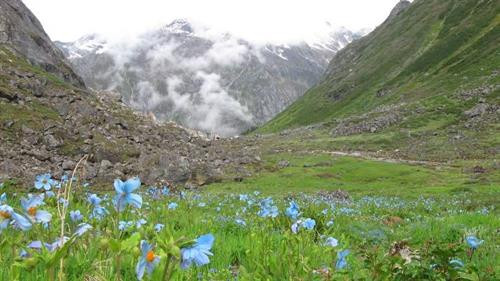 Đỉnh Gangkhar Puensum, Bhutan: Đỉnh núi cao thứ 40 thế giới nằm ở biên giới Bhutan và vẫn chưa có ai chinh phục thành công. Môi trường trên núi khắc nghiệt, lạnh giá và gió to, với một con dốc dựng đứng dẫn lên đỉnh. Từ năm 1987, chính phủ Bhutan đã ban hành lệnh cấm leo Gangkhar Puensum vì lý do tâm linh. Ảnh: CNTraveler. Rãnh Mariana, Thái Bình Dương: Rãnh Mariana là nơi sâu nhất hành tinh (11.034 m). Nếu bạn đặt Everest ở đáy rãnh, đỉnh núi vẫn còn cách mặt nước hơn 1.600 m. Ảnh: National Geographic. Điểm sâu nhất rãnh Mariana được tàu HMS Challenger II phát hiện năm 1951. Một số hình ảnh về các sinh vật kỳ dị ở đây đã được ghi lại. Tuy nhiên, phần lớn rãnh vẫn chưa được khám phá và không ai biết có những gì dưới đó. Ảnh: NPR. Đảo Oodaaq, Greenland: Oodaaq là một trong sáu hòn đảo thoát ẩn thoắt hiện ngoài khơi Greenland. Năm 1978, một đoàn địa chất bay qua Kaffeklubben và thấy một dải đất đá hẹp trên biển. Tuy nhiên, đến nay vẫn chưa có bằng chứng rõ ràng về sự tồn tại của hòn đảo ngoài một số bức ảnh, đoạn phim mờ ảo. Ảnh: Grunge. Machapuchare, Nepal: Nằm trong dãy Annapurna Himalayas, Machapurchare (hay còn gọi là “Núi đuôi cá”) là đỉnh núi thiêng của Nepal. Chưa có ai chinh phục được đỉnh núi này, và chính phủ Nepal cũng đã cấm người leo lên đây. Tuy nhiên, khu vực chân núi vẫn có nhiều điều để bạn khám phá. Machapurchare có lẽ là một trong những ngọn núi nguyên sơ cuối cùng của dãy Hymalayas. Ảnh: GlobeTrotter/Flickr. Khu liên hợp rừng núi phía bắc, Myanmar: Công viên quốc gia Hkakabo Razi và khu bảo tồn Hponkan Razi tạo thành Khu liên hợp rừng núi phía bắc rộng lớn của Myanmar. Chỉ 1,4% khu vực này chịu sự tác động của con người. Khu liện hợp này chưa được các nhà khoa học hay cộng đồng leo núi khám phá. Hệ động thực vật hoang dã nơi đây cũng vẫn còn là một ẩn số. Ảnh: WCS. Hồ ngầm, Bắc Cực: Được phát hiện năm 1973, hơn 400 hồ nước ngầm dưới băng khổng lồ ở Bắc Cực khiến các nhà khoa học choáng ngợp. Phần lớn số hồ này chưa được thăm dò. Đồng thời, các nhà nghiên cứu cũng chưa nắm rõ hệ sinh thái phức tạp trong hồ. Ảnh: Grunge. Rừng Amazon, Nam Mỹ: Trải rộng trên diện tích 6,7 triệu km2, đây là khu rừng lớn nhất hành tinh với độ phức tạp và đa dạng khó nơi nào sánh nổi. Khu rừng này có ít nhất 10% số loài sinh vật trên trái đất. Tuy nhiên, không ai biết rõ dưới tán rừng Amazon có những bí mật gì còn ẩn chứa, do phần lớn khu rừng chưa được thám hiểm. Các nhà khoa học cho rằng ở sâu trong rừng còn nhiều loài động thực vật cũng như các bộ tộc người sinh sống. Ảnh: NDnet.