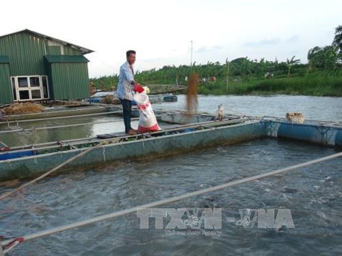 Nuôi cá lồng trên sông là hướng đi mới có hiệu quả đang được nhiều hộ nông dân trên địa bàn tỉnh Bắc Ninh triển khai. Nuôi cá lồng trên sông là hướng đi mới có hiệu quả đang được nhiều hộ nông dân trên địa bàn tỉnh Bắc Ninh triển khai.