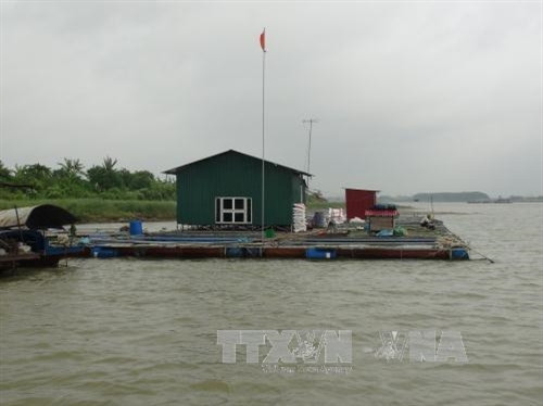 Các giống cá cho hiệu quả kinh tế được các hộ nông dân đưa vào nuôi nhiều là cá điêu hồng, cá lăng, cá chép lai, cá trắm cỏ. Các giống cá cho hiệu quả kinh tế được các hộ nông dân đưa vào nuôi nhiều là cá điêu hồng, cá lăng, cá chép lai, cá trắm cỏ.