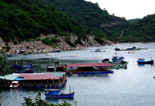 Một số tàu thuyền không có giấy tờ đăng kiểm và một số chủ phương tiện không có chứng chỉ chuyên môn để lái tàu thuyền chở người. Một số tàu thuyền không có giấy tờ đăng kiểm và một số chủ phương tiện không có chứng chỉ chuyên môn để lái tàu thuyền chở người.