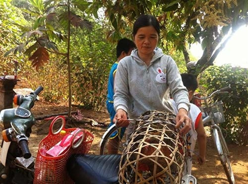 Hằng năm vào dịp Tết mồng hai tháng Giêng, Rằm tháng Bảy âm lịch, vợ chồng, con cái “đi tái” ông bà ngoại.