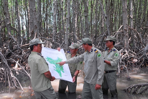 Lực lượng Ban quản lý rừng phòng hộ Cần Giờ đi tuần tra, bảo vệ rừng trên thực địa.