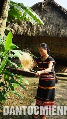 Những người phụ nữ chuẩn bị những hạt gạo mới để nấu cơm. Ảnh: Hoàng Tâm