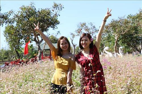 Du khách thích thú tham quan, chụp ảnh lưu niệm tại vườn hoa tam giác mạch. Ảnh: Hồng Điệp - TTXVN Du khách thích thú tham quan, chụp ảnh lưu niệm tại vườn hoa tam giác mạch. Ảnh: Hồng Điệp - TTXVN