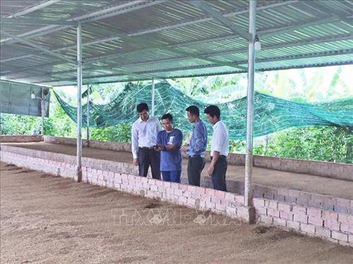 Kỹ sư nông nghiệp của Hợp tác xã Long Hiệp giới thiệu cách nuôi trùn quế cho du khách đến tham quan. Ảnh: Hồng Nhung - TTXVN