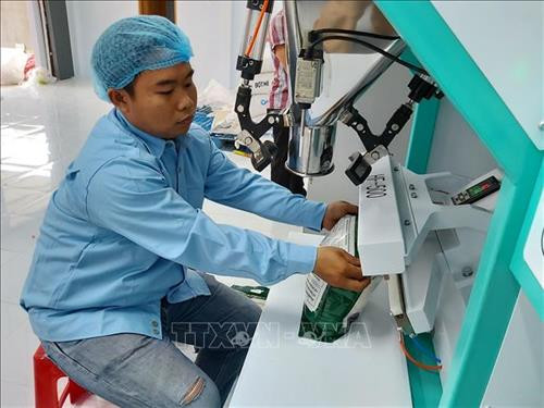 Thành viên Hợp tác xã Long Hiệp đóng gói gạo Hạt Ngọc Rồng để giao cho các cửa hàng tại Trà Vinh. Ảnh: Hồng Nhung - TTXVN Thành viên Hợp tác xã Long Hiệp đóng gói gạo Hạt Ngọc Rồng để giao cho các cửa hàng tại Trà Vinh. Ảnh: Hồng Nhung - TTXVN