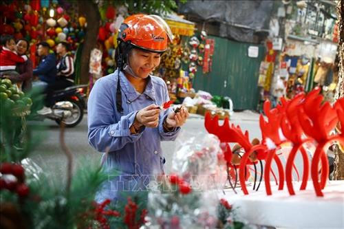 Hà Nội: Nhộn nhịp thị trường mùa Giáng sinh 2018 ảnh 10