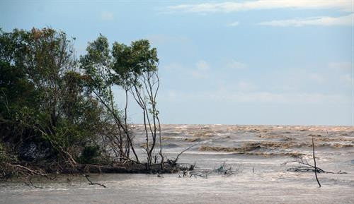 Sóng biển gây sạt lở bờ biển tại xã Vân Khánh, huyện An Minh. Lê Huy Hải - TTXVN Sóng biển gây sạt lở bờ biển tại xã Vân Khánh, huyện An Minh. Lê Huy Hải - TTXVN