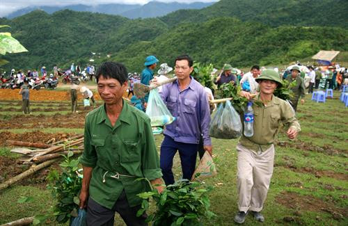 Mô hình chăn nuôi lợn của cựu chiến binh Khuất Đình Sâm ở xã Mường Than, huyện Than Uyên mang lại hiệu quả kinh tế. Ảnh: Việt Hoàng - TTXVN