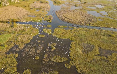 Chiều về trên đầm Vân Long. Cò, vạc và các loại chim nước về đây, sống và kiếm ăn ở hệ sinh thái ngập nước Vân Long vào mùa khô. Mỗi dịp đông đến Vân Long lại tràn ngập sắc trắng của những đàn cò trắng lên đến cả nghìn con bay về trú ngụ tạo nên khung cảnh nên thơ. Hàng nghìn loài chim, cò, vạc các loại tựu về đây, sống chen chúc trên những thảm rừng nguyên sinh trên núi đá vôi, hoặc kiếm sống ở các hệ sinh thái dưới ngập nước… Tiếng kêu của chúng làm xôn xao cả một vùng không gian vốn tĩnh lặng. Mỗi dịp đông đến Vân Long lại tràn ngập sắc trắng của những đàn cò trắng lên đến cả nghìn con bay về trú ngụ ... tạo nên khung cảnh vô cùng nên thơ. Đầm Vân Long Những khu rừng tràm tại Vân Long là nơi trú ngụ của những đàn cò lớn, là nơi ghỉ ngơi của chúng sau mỗi ngày kiếm ăn. Chiều về trên đầm Vân Long. Cò, vạc và các loại chim nước về đây, sống và kiếm ăn ở hệ sinh thái ngập nước Vân Long vào mùa khô. Mỗi dịp đông đến Vân Long lại tràn ngập sắc trắng của những đàn cò trắng lên đến cả nghìn con bay về trú ngụ tạo nên khung cảnh nên thơ. Hàng nghìn loài chim, cò, vạc các loại tựu về đây, sống chen chúc trên những thảm rừng nguyên sinh trên núi đá vôi, hoặc kiếm sống ở các hệ sinh thái dưới ngập nước… Tiếng kêu của chúng làm xôn xao cả một vùng không gian vốn tĩnh lặng. Mỗi dịp đông đến Vân Long lại tràn ngập sắc trắng của những đàn cò trắng lên đến cả nghìn con bay về trú ngụ ... tạo nên khung cảnh vô cùng nên thơ. Đầm Vân Long Những khu rừng tràm tại Vân Long là nơi trú ngụ của những đàn cò lớn, là nơi ghỉ ngơi của chúng sau mỗi ngày kiếm ăn.