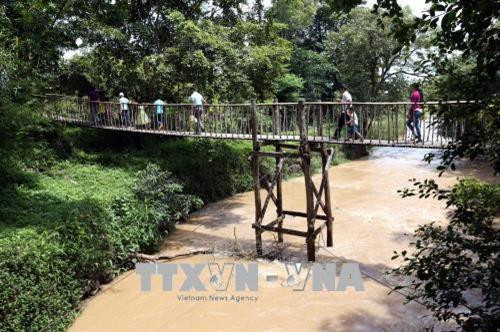 Khách du lịch trải nghiệm đi cầu treo tại buôn Đôn. Ảnh: Anh Tuấn - TTXVN Khách du lịch trải nghiệm đi cầu treo tại buôn Đôn. Ảnh: Anh Tuấn - TTXVN