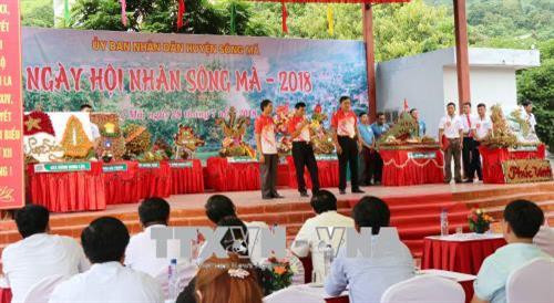 Các địa phương giới thiệu về sản phẩm nhãn của mình tại hội thi. Ảnh: TTXVN phát Các địa phương giới thiệu về sản phẩm nhãn của mình tại hội thi. Ảnh: TTXVN phát