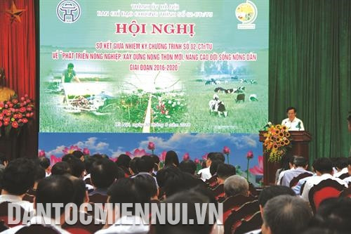 Sau nửa nhiệm kỳ thực hiện Chương trình số 02-Ctr/TU giai đoạn 2016 - 2020, Hà Nội là địa phương có số huyện đạt chuẩn Nông thôn mới nhiều nhất cả nước. Ảnh: Quỳnh Ngân Phó Bí thư Thường trực Thành ủy Hà Nội Ngô Thị Thanh Hằng thăm quan các gian hàng trưng bày nông sản đặc trưng của các huyện, thị xã. Ảnh: Quỳnh Ngân Phó Bí thư Thường trực Thành ủy Hà Nội Ngô Thị Thanh Hằng thăm mô hình trồng rau thủy canh tại Khu sinh thái nông nghiệp công nghệ cao thung lũng Ngọc Linh ở xã Tiến Xuân, huyện Thạch Thất. Ảnh: Quỳnh Ngân