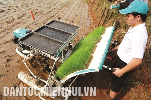 Hà Nội tiếp tục đẩy mạnh cơ giới hóa trong sản xuất nông nghiệp. Ảnh: Quỳnh Ngân