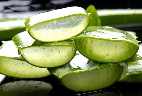 Nha đam cũng nằm trong danh sách chữa mụt lẹo tại nhà.