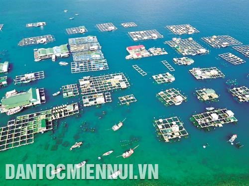 Một góc vịnh nuôi tôm hùm ở xã đảo Cam Bình